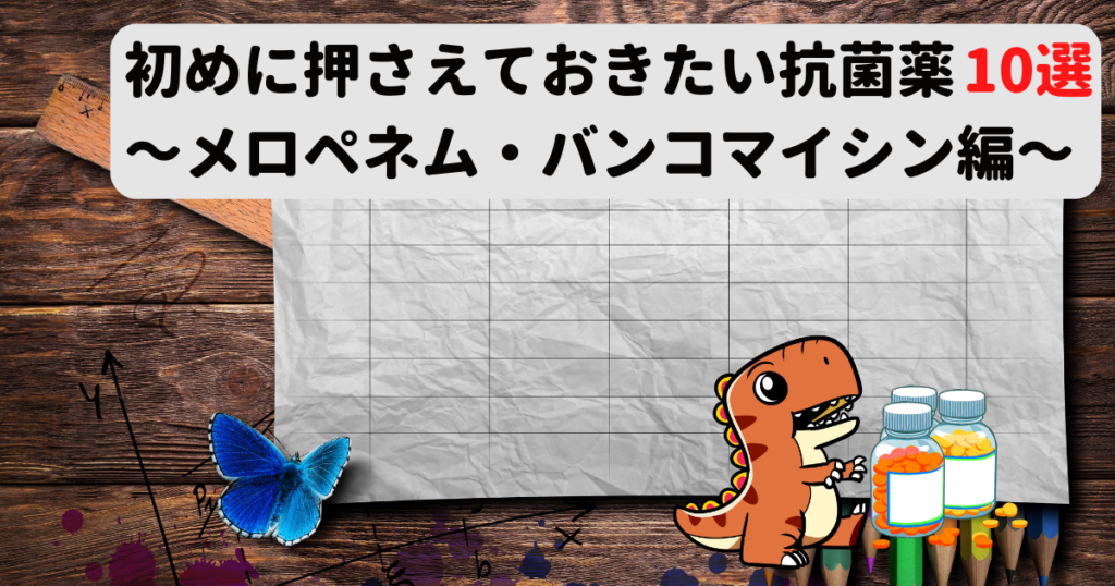 メロペネム ノヴァ ファルマ リーフレット